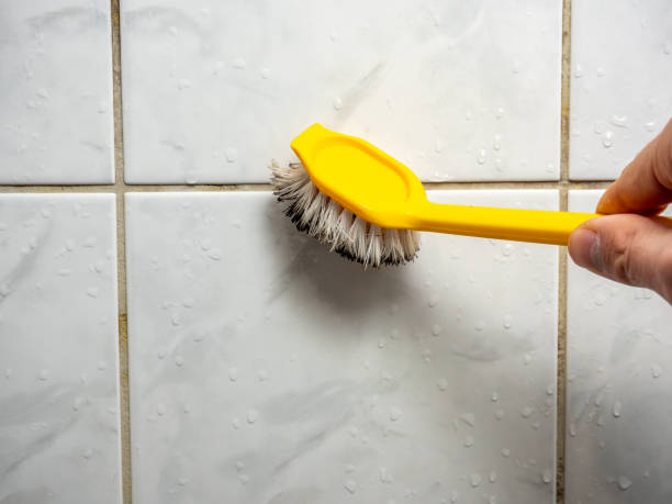 Best Certified Mold Removal  in Mcconnelsville, OH