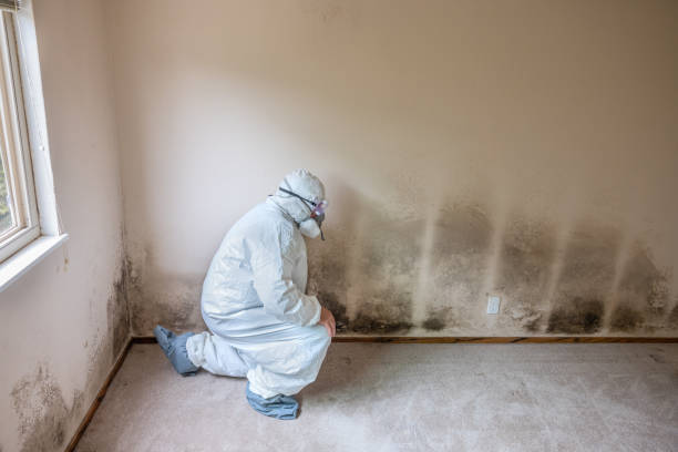 Best Crawl Space Mold Removal  in Mcconnelsville, OH