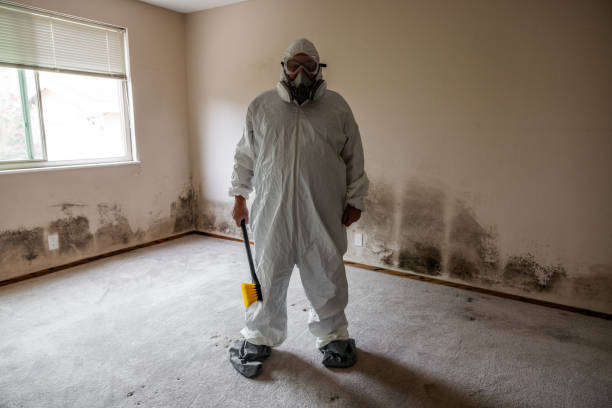 Best Mold Testing  in Mcconnelsville, OH